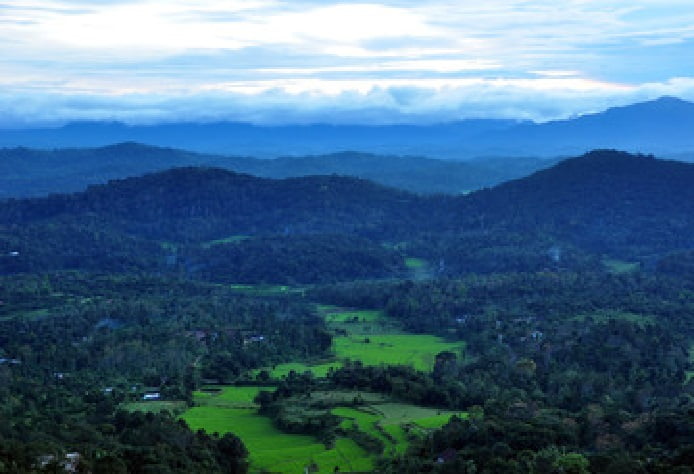 Celebrate your wedding amidst the natural beauty of Coorg.