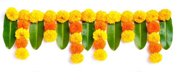 Use mango leaves and marigold flowers to create auspicious and beautiful strings for decoration.